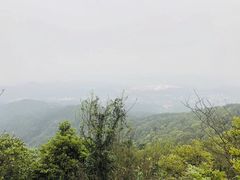 -广州市帽峰山景区
