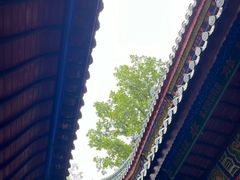 -丰都鬼城名山景区