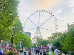 -锦江乐园舞狸花花游园会(夜场专享)