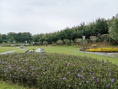 -风云岭森林公园