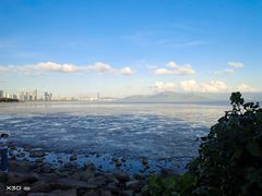 -深圳湾公园(南山区)
