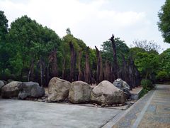 -江湾神木园