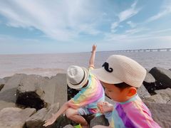 -南汇嘴观海公园