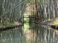 -同里国家湿地公园