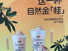 -一只酸奶牛(春熙路店)