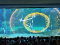 -海合安成都极地海洋公园