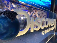 -迪拜水族馆及水下动物园