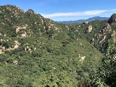 -大岭沟猕猴桃谷风景区