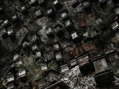 -神农架景区