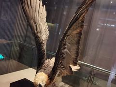 -青藏高原自然博物馆