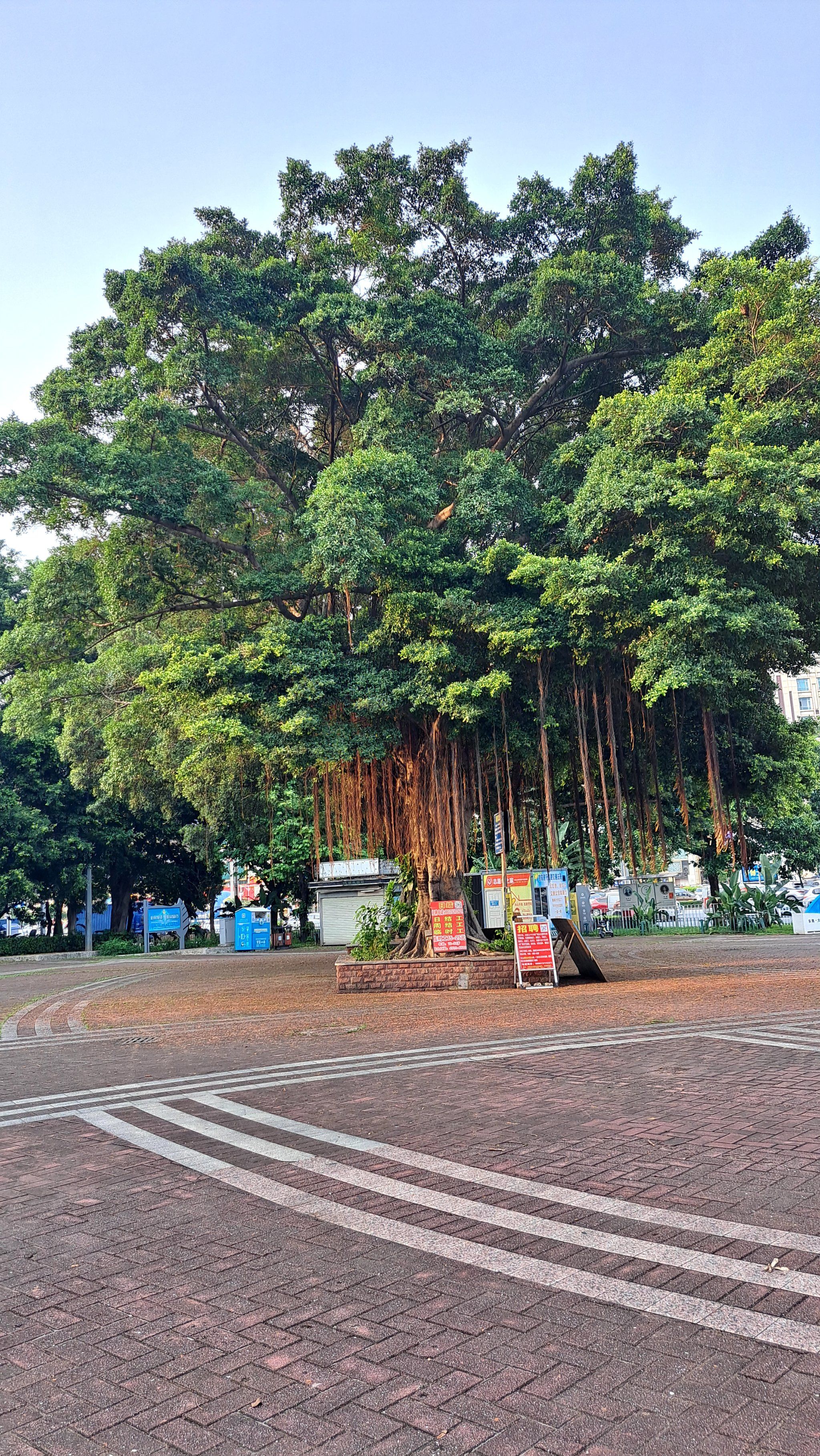 没想到,在公司附近还有这么一个公园
