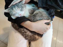 -平行世界·猫咖(首经贸店)