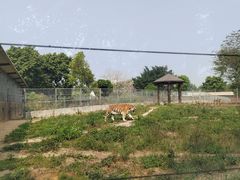 -东莞香市动物园