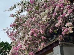 -深圳国际园林花卉博览园