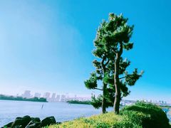 -台场海滨公园船码头
