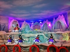 -帝企鹅自助餐厅•儿童岛•真企鹅(长隆企鹅酒店)