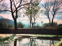 -塔川景区
