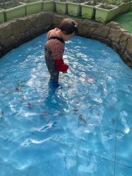 -可可天空农场(中大店)