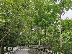 -福道