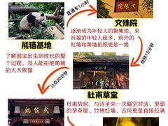 -成都大熊猫繁育研究基地
