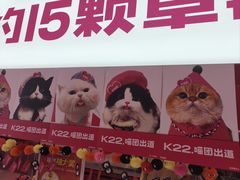 -K22.酸奶草莓(烟台芝罘店)