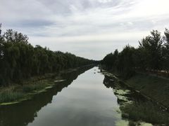 -东郊湿地公园