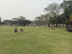 -顺峰山公园