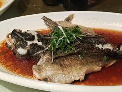 -金美华轩(东方路齐鲁店)