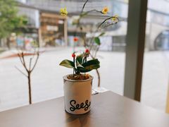 -Seesaw Coffee(苏州中心店)