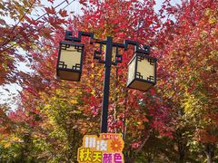 -沈阳市东陵公园