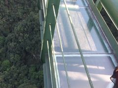 -龙湾潭国家森林公园