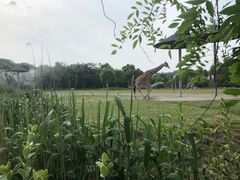 -宁波野生动物园