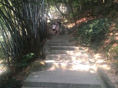 -火炉山森林公园
