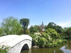 -鹅湖玫瑰文化园