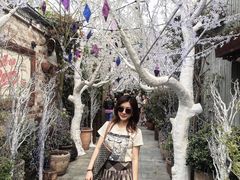 -The Grounds of Alexandria