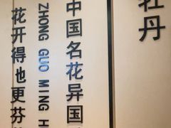 -普天和酒楼(天津之眼店)
