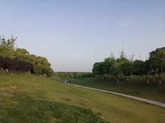 -滆湖低碳生态公园