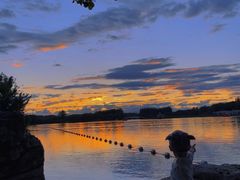 -大兴滨河森林公园