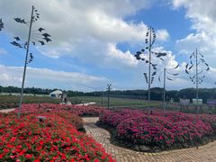 -济州森林小火车生态公园