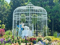 -上海共青森林公园