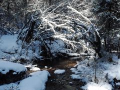 -白马王朗自然风景区