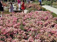 -阿方索十二世纪念碑