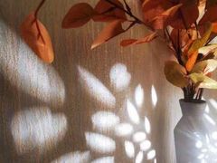 -禧瑞 ·丝浴主题·水疗·spa(中山公园店)