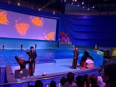 -南昌融创海世界