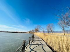 -野鸭湖国家湿地公园