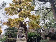 -成都武侯祠博物馆