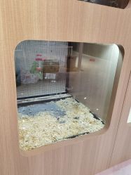 -Moni星球萌宠·小马宝莉·灵蛇·高端高阶全萌宠互动体验俱乐部(红豆国际广场店)