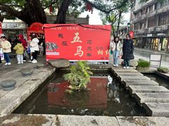 -强新鱼圆(温迪店)
