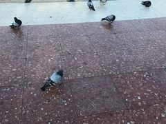 -加泰罗尼亚广场