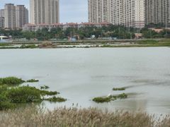 -洛阳桥